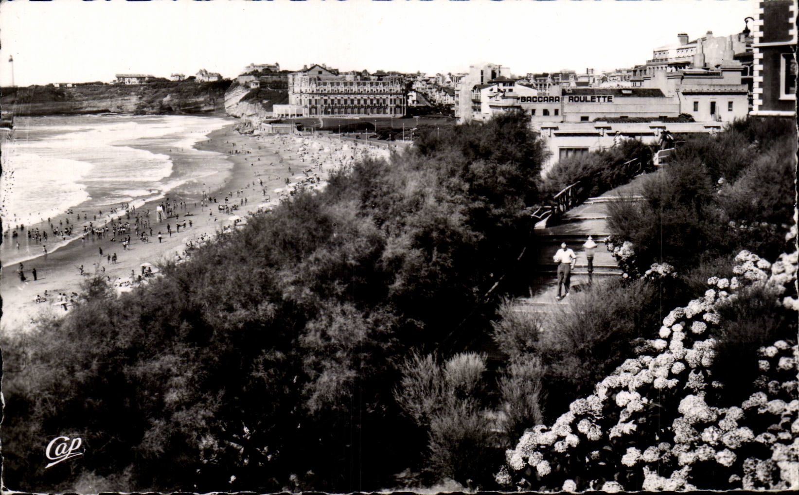CPA Biarritz La plage et les hortensias