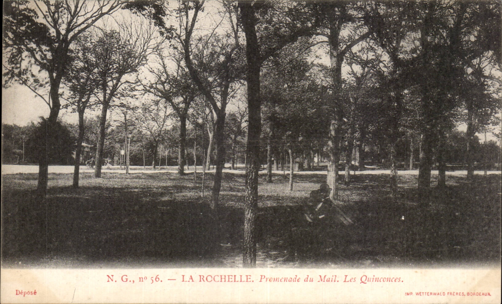 La Rochelle — Promenade du Mail. Les Quinconces — IMP. WETTERWALD FRÈRES, BORDEAUX.