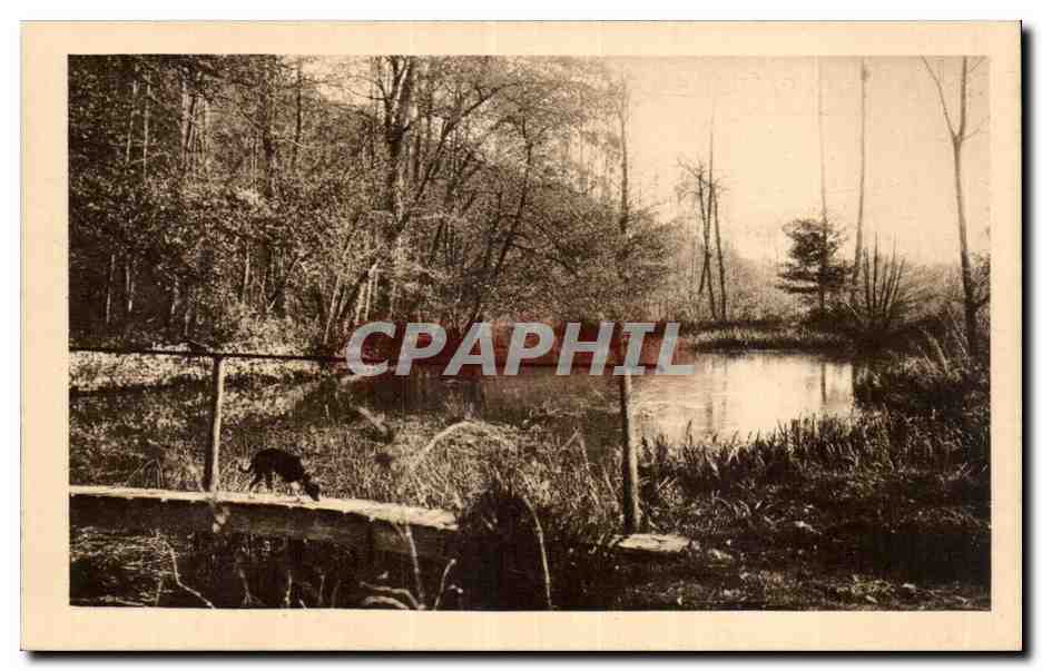 CPA Jazeneuil La Vonne au moulin de Jarnezay La passerelle du bois du chateau de la Barre