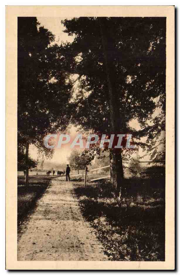 CPA Vendeuvre de Poitou La praire du chateau de Labarum