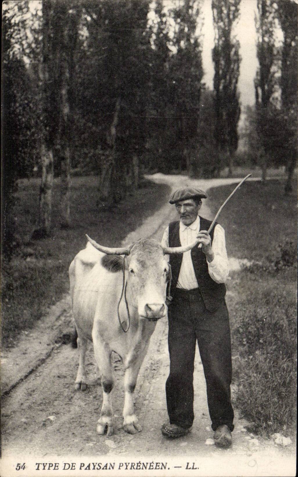 Folklore - Costumes - Type de Pyreneen - CPA 