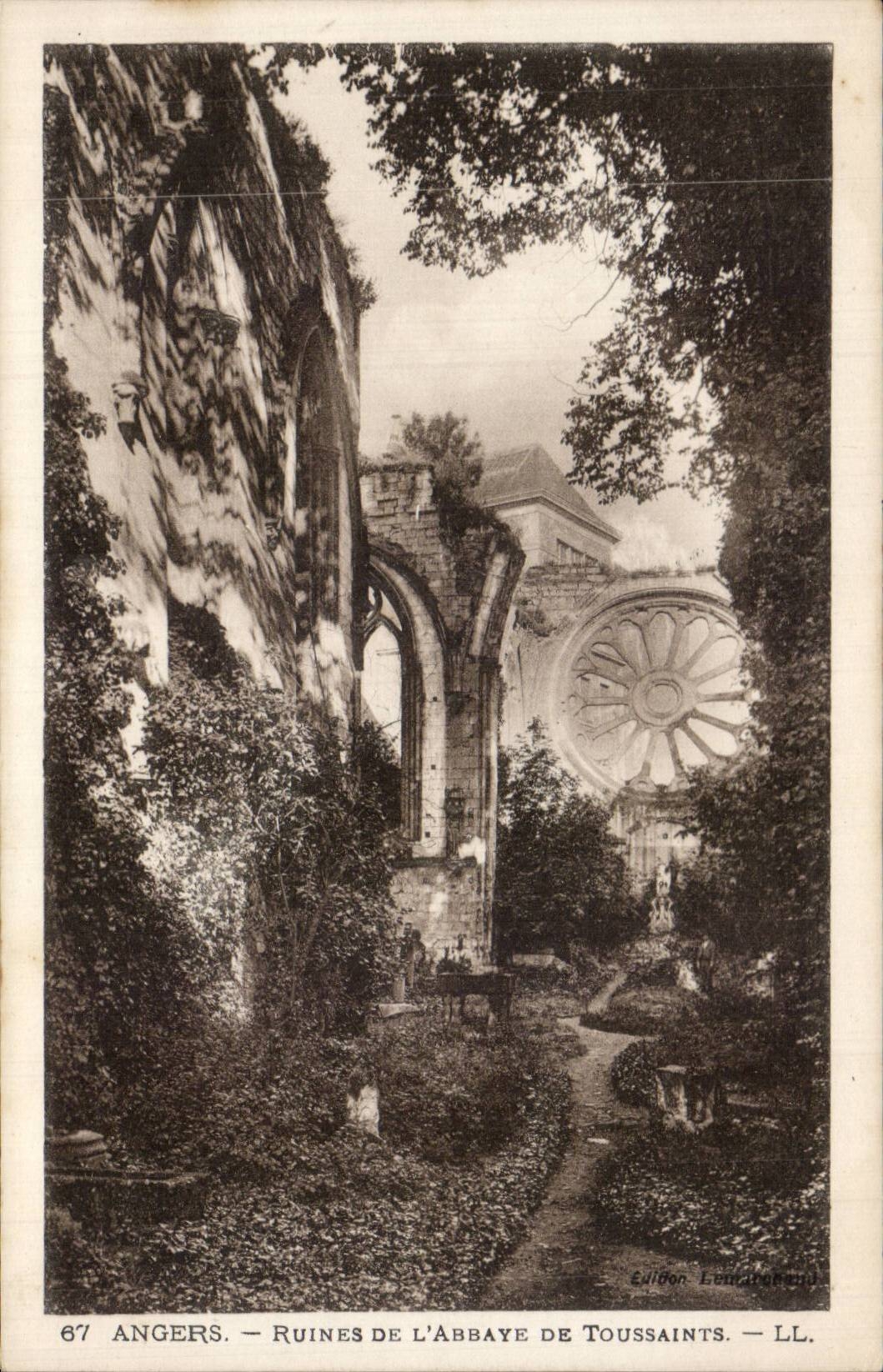 Angers - Ruines de l Abbaye de Toussaints - CPA 