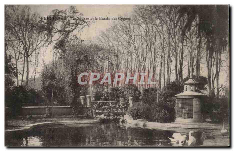 CPA Perpignan Le square et le bassin des cygnes