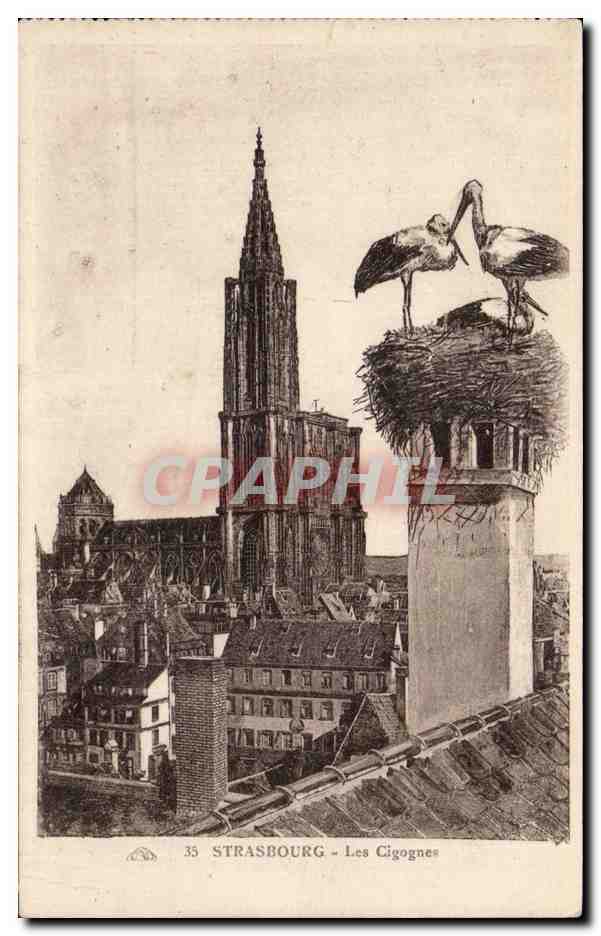 CPA Strasbourg Les cigognes