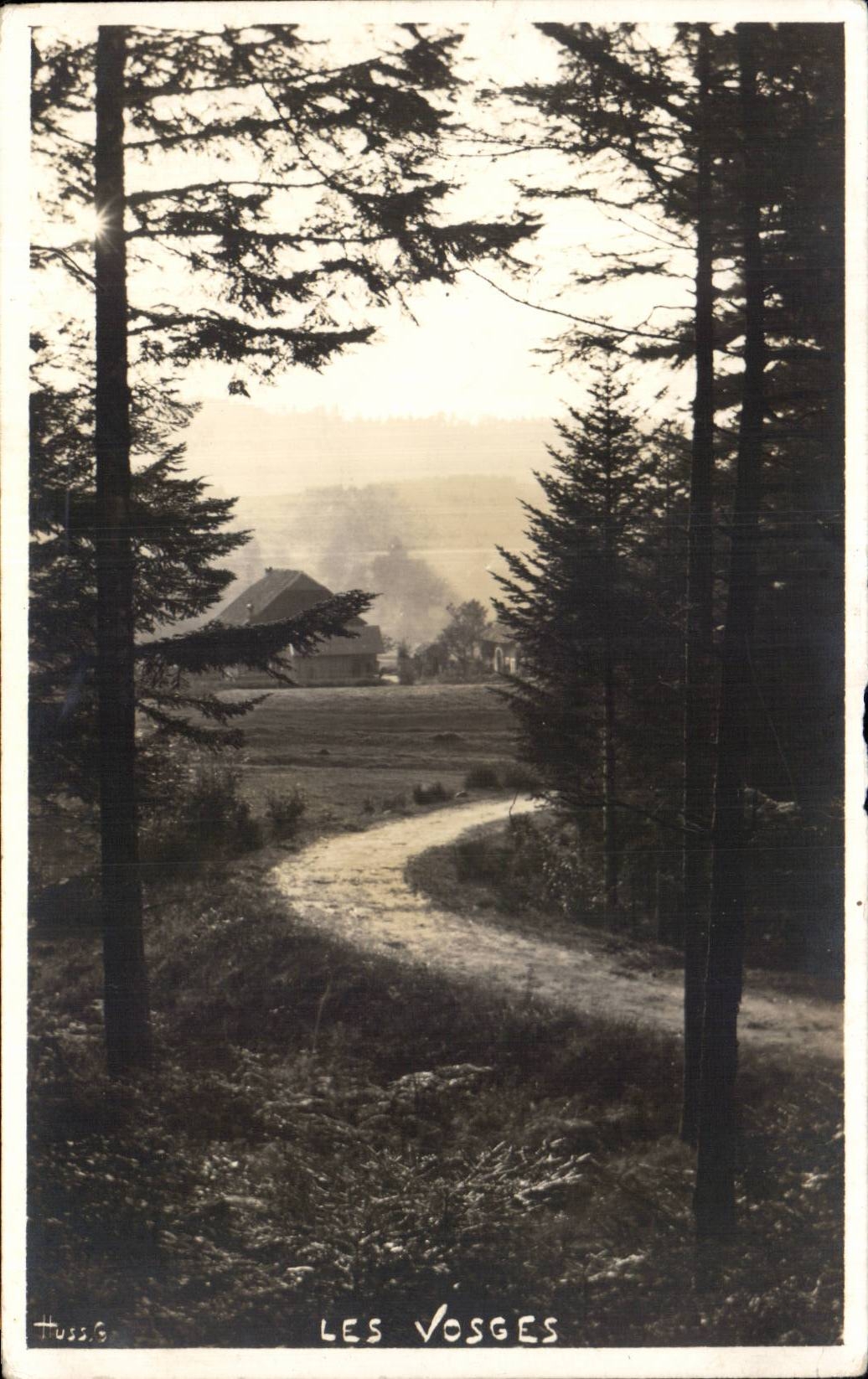Les Vosges — vue de chemin forestier — Huss.G
