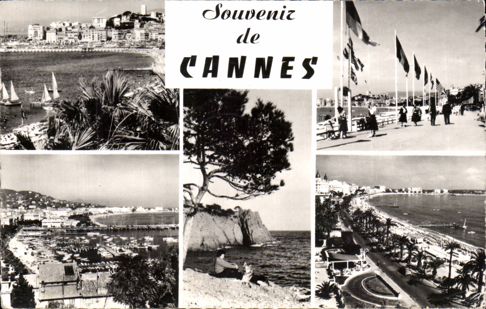 CPA Cannes Souvenir