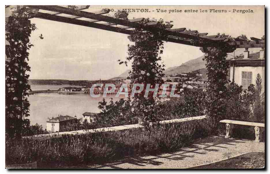 CPA Menton Vue prise entre les fleurs Pergola