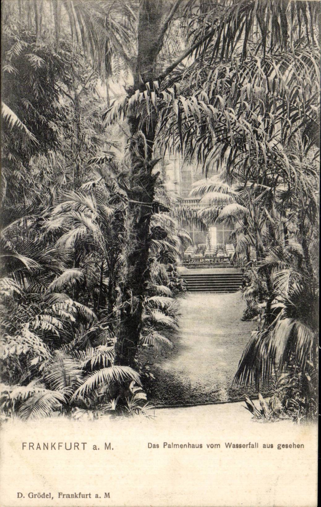 CPA Frankfurt Das Palmenhaus vom Wasserfall aus gesehen