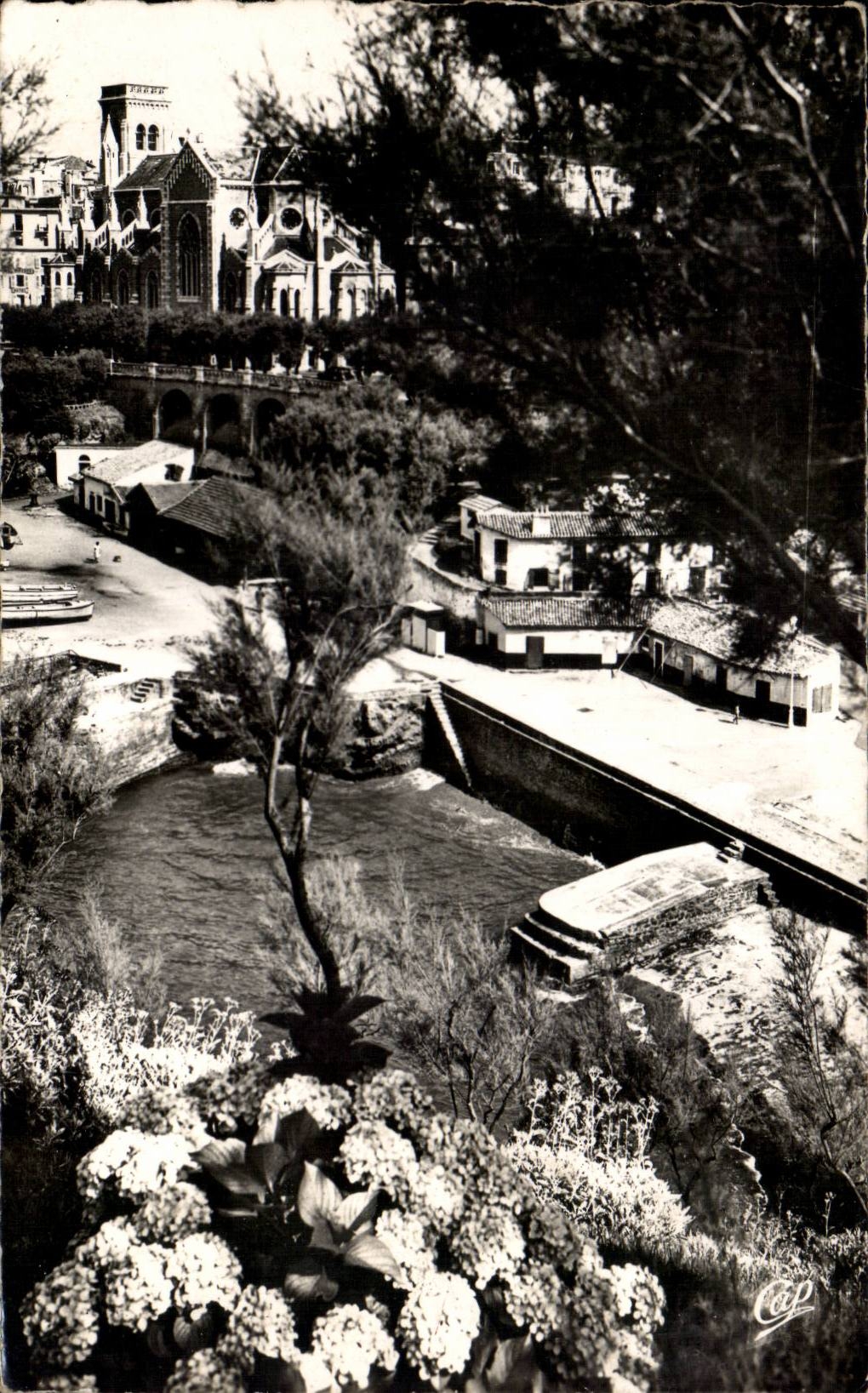 CPA Biarritz L eglise Sainte Eugenie et les hortensias au port des pecheurs