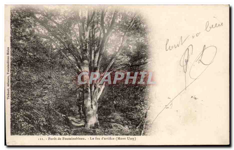 Wald von Fontainebleau - Feuerwerk (Mont Ussy) — Tibhanil, Verleger, Fontainebleau-Melun, Nr. 111
