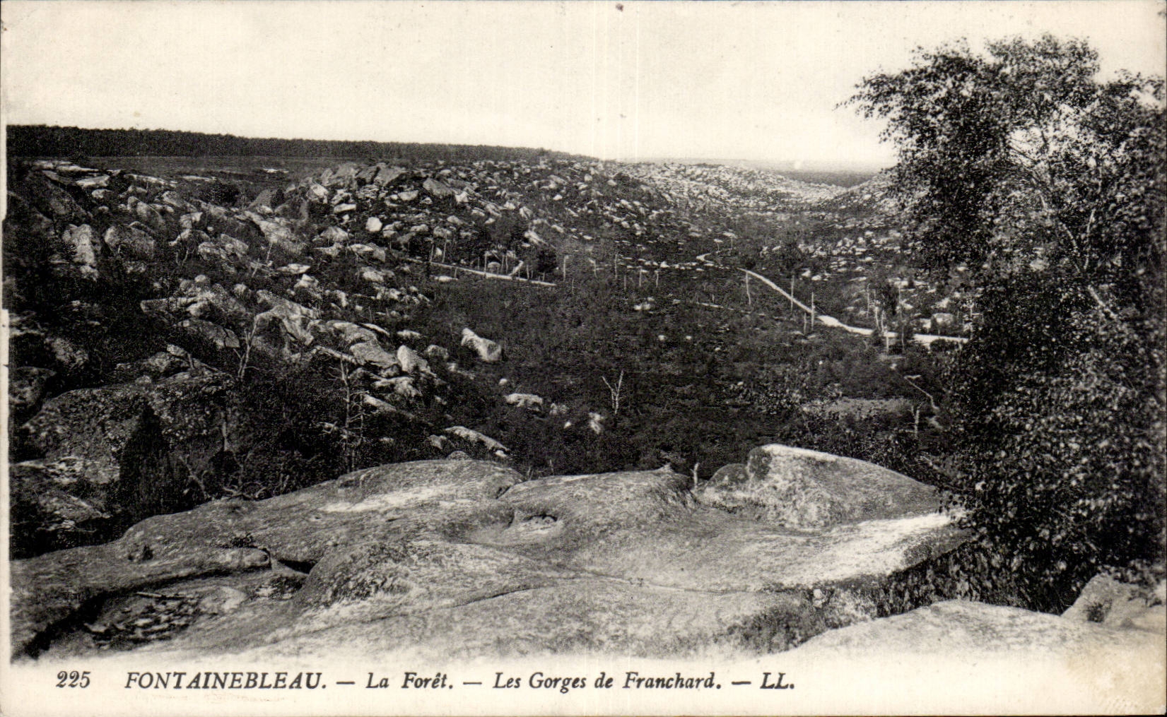 Fontainebleau — La Forêt — Les Gorges de Franchard — LL. — N° 225