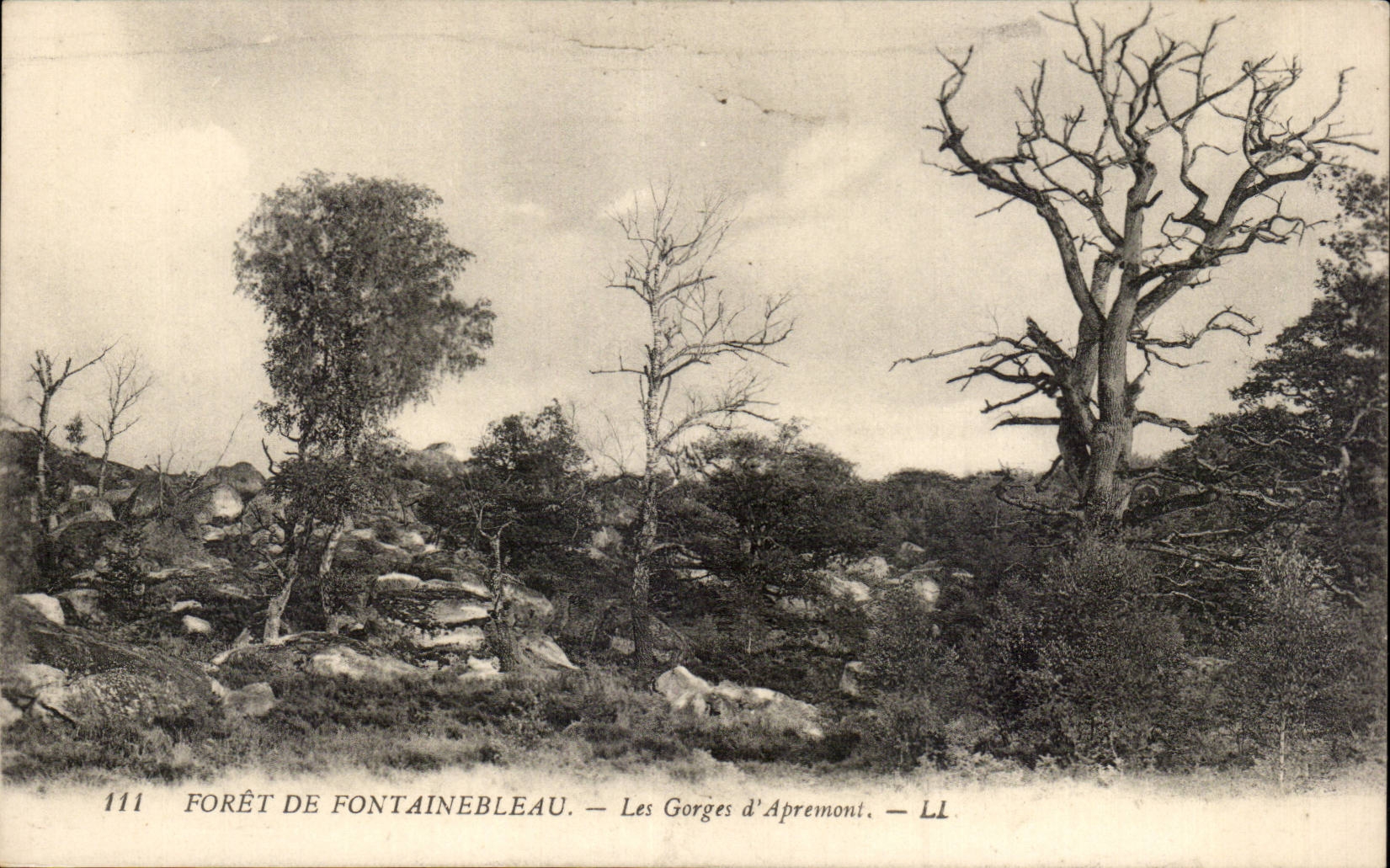 Bosque de Fontainebleau — Las Gargantas de Apremont — LL