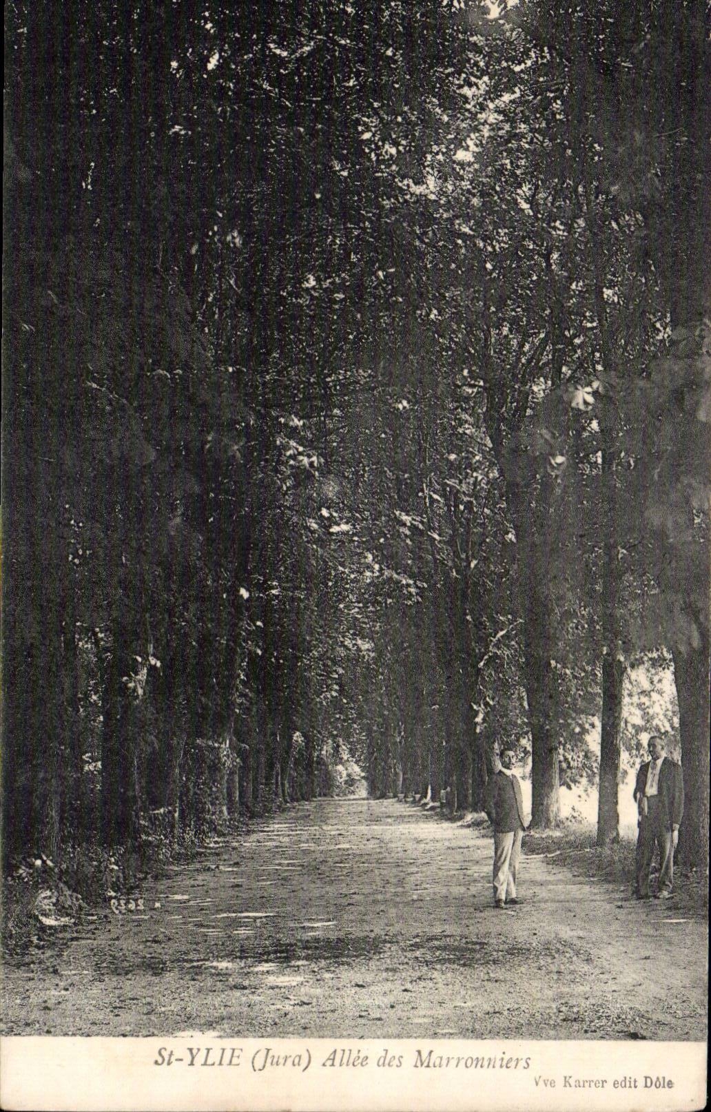 CPA St Ylie Allee des marronniers