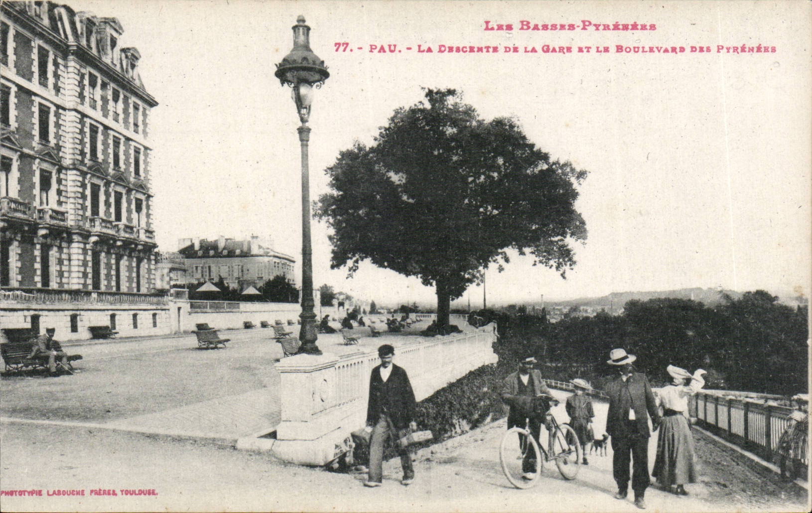 Pau - La descente de la gare et le boulevard des Pyrénées — Phototypie Labouche Frères, Toulouse, n°77