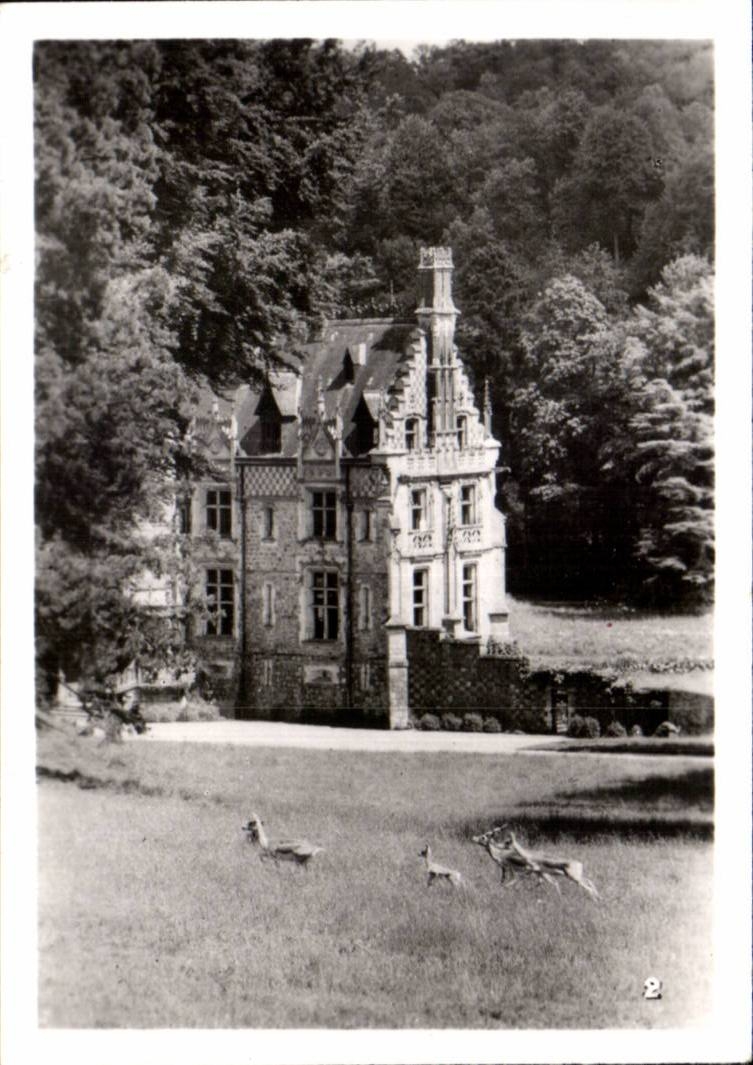 CPSM Par zoologique Cleres zoo