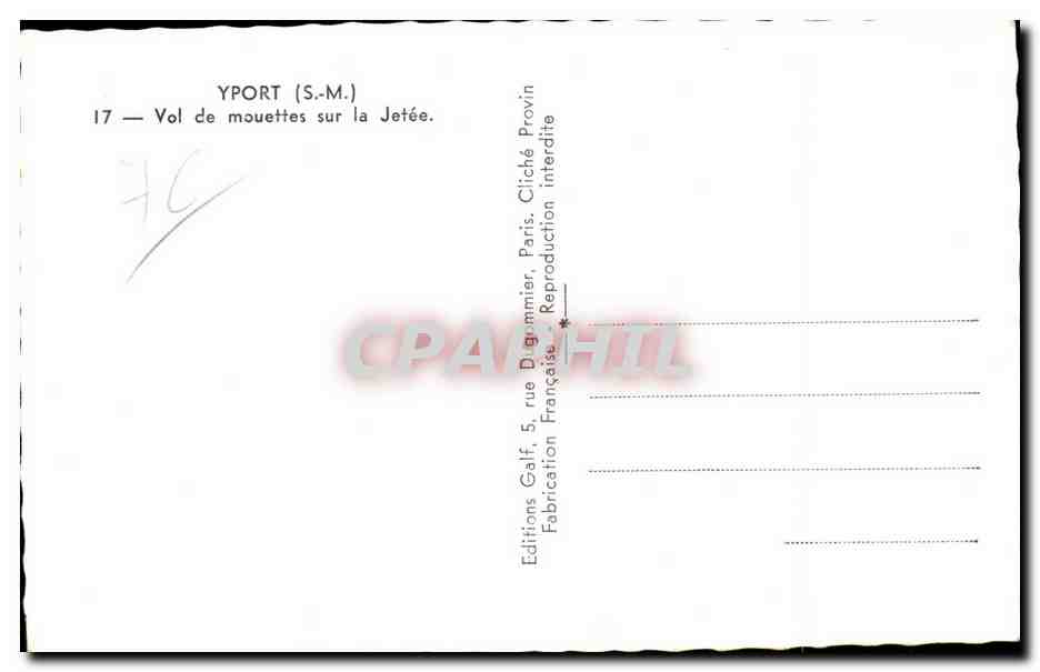 Yport - Vol de Muettes sur la Jetee - CPA  — Rückseite