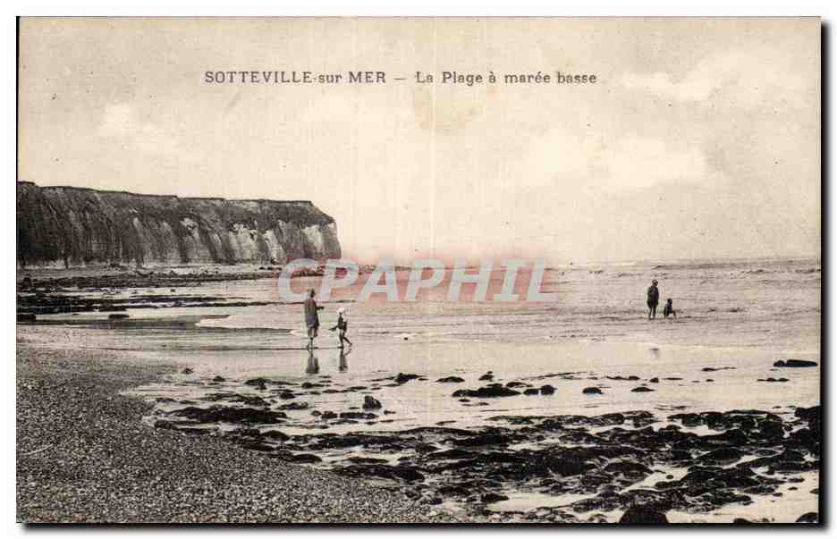 Sotteville sur Mer - La Plage a maree basse - CPA 