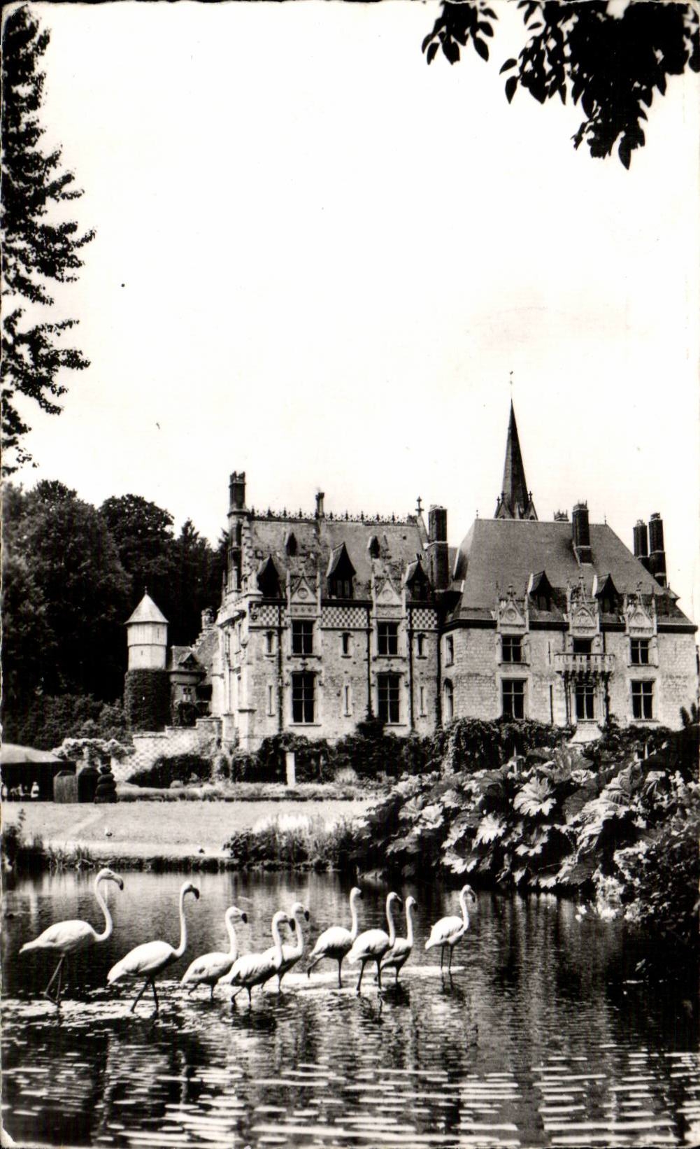 Cleres - Parc Zoologique - Facade du Chateau - CPA 