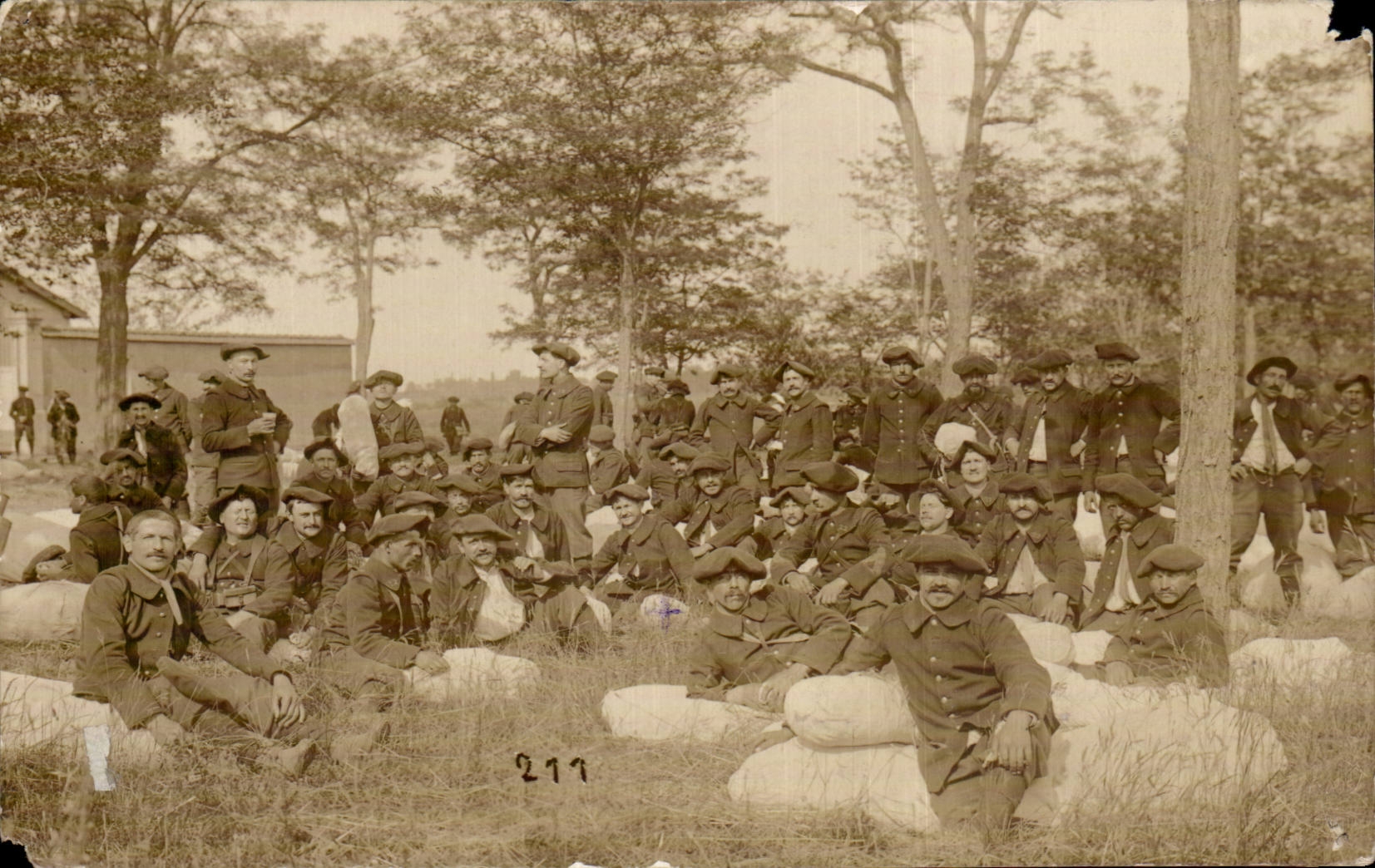 CARTE PHOTO Soldats militaria Chasseurs alpins 