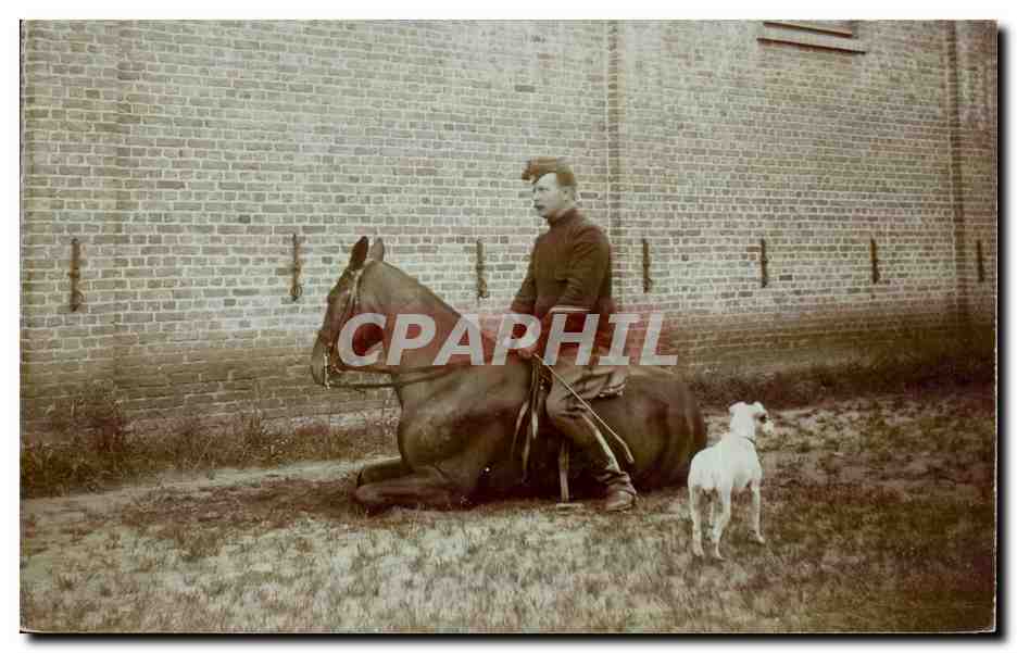 CARTE PHOTO Soldat militaria Cavalier et chien