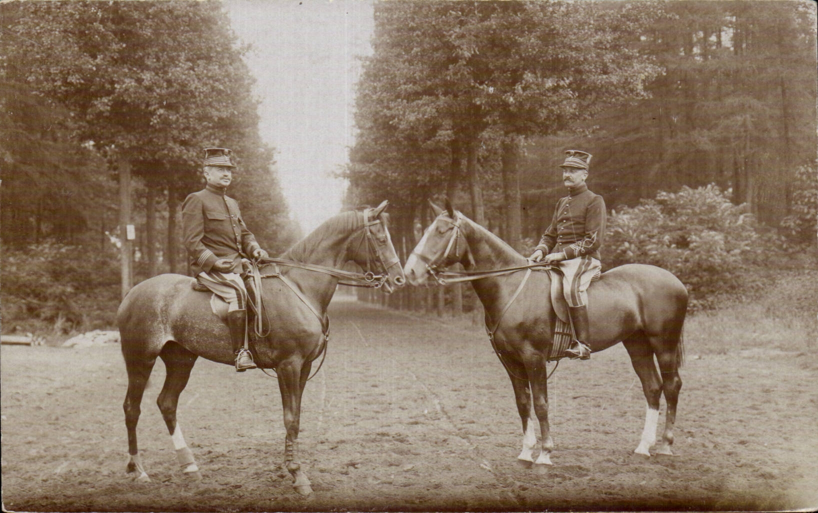 CARTE PHOTO Soldats militaria Cavaliers 
