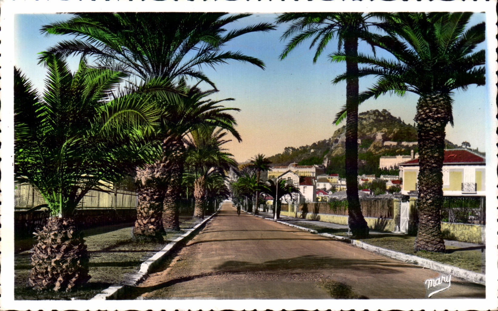 Avenue des Palmiers — Hyères — Éditions MARY, n° 511