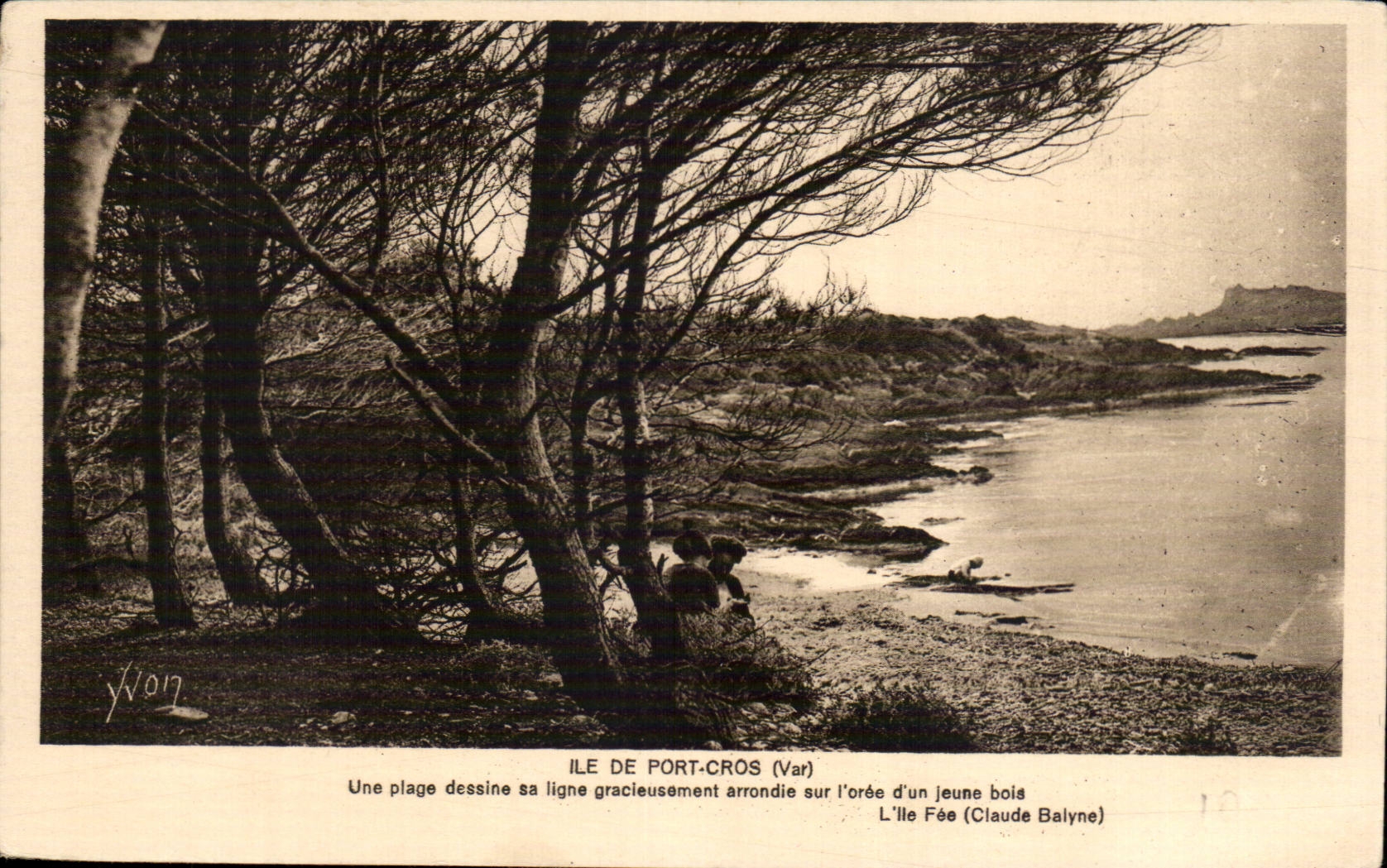 Isle of Port-Cros (Var) — A beach draws its graceful rounded line at the edge of a young grove — The Fairy Island (Claude Balyne)