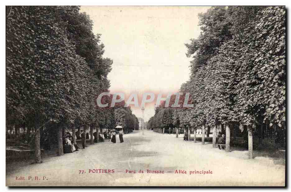 CPA Poitiers Parc de Blossac Allee principale