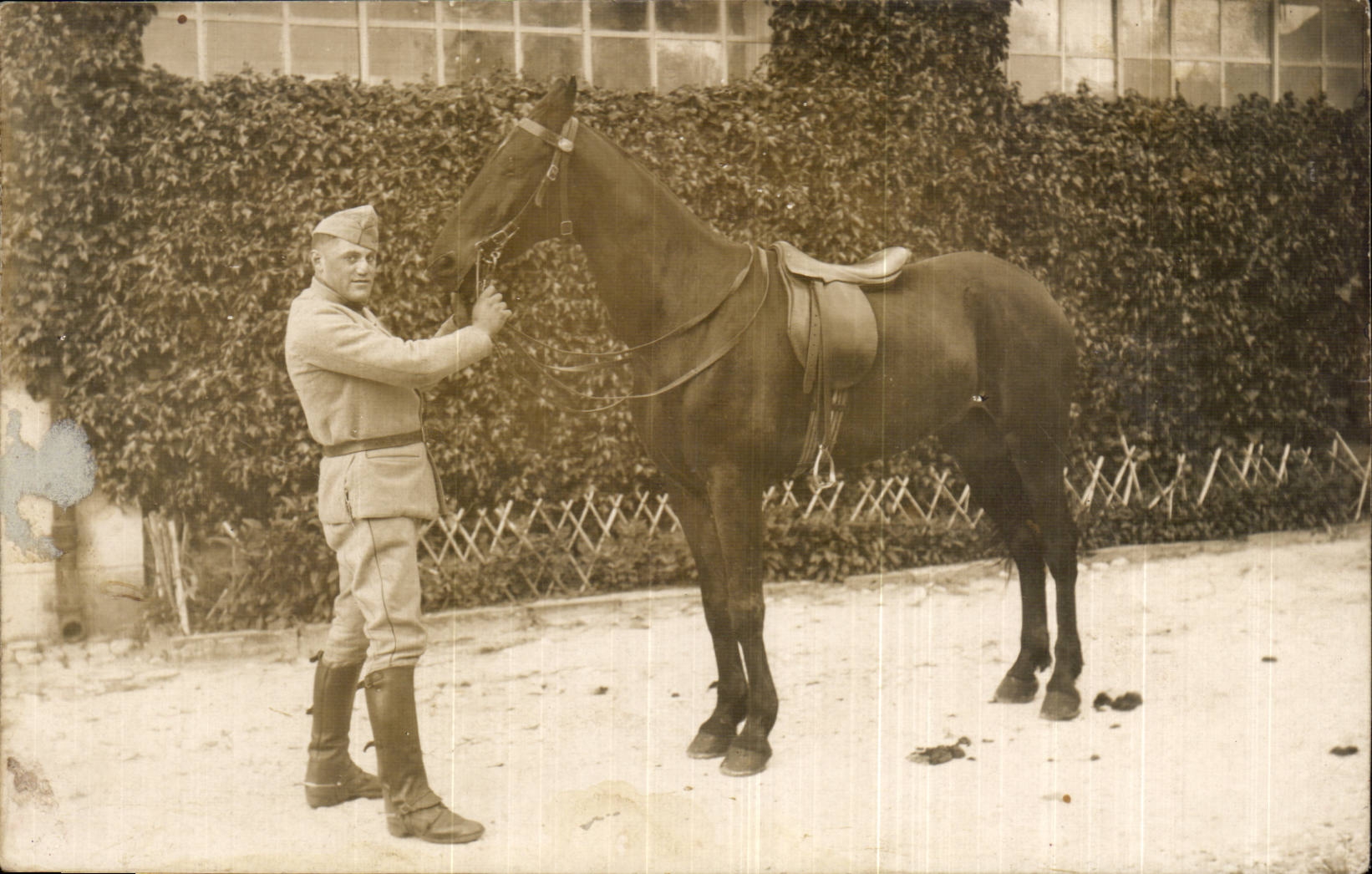 CARTE PHOTO Soldats militaria Cheval