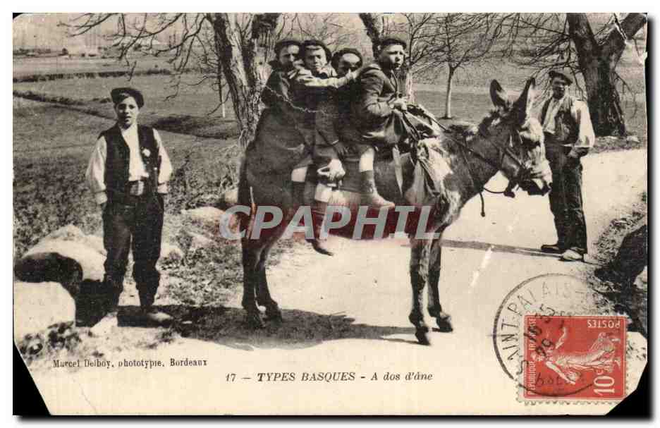 Folklore - Costumes - Types Basques - A dos d Ane - donkey - CPA 