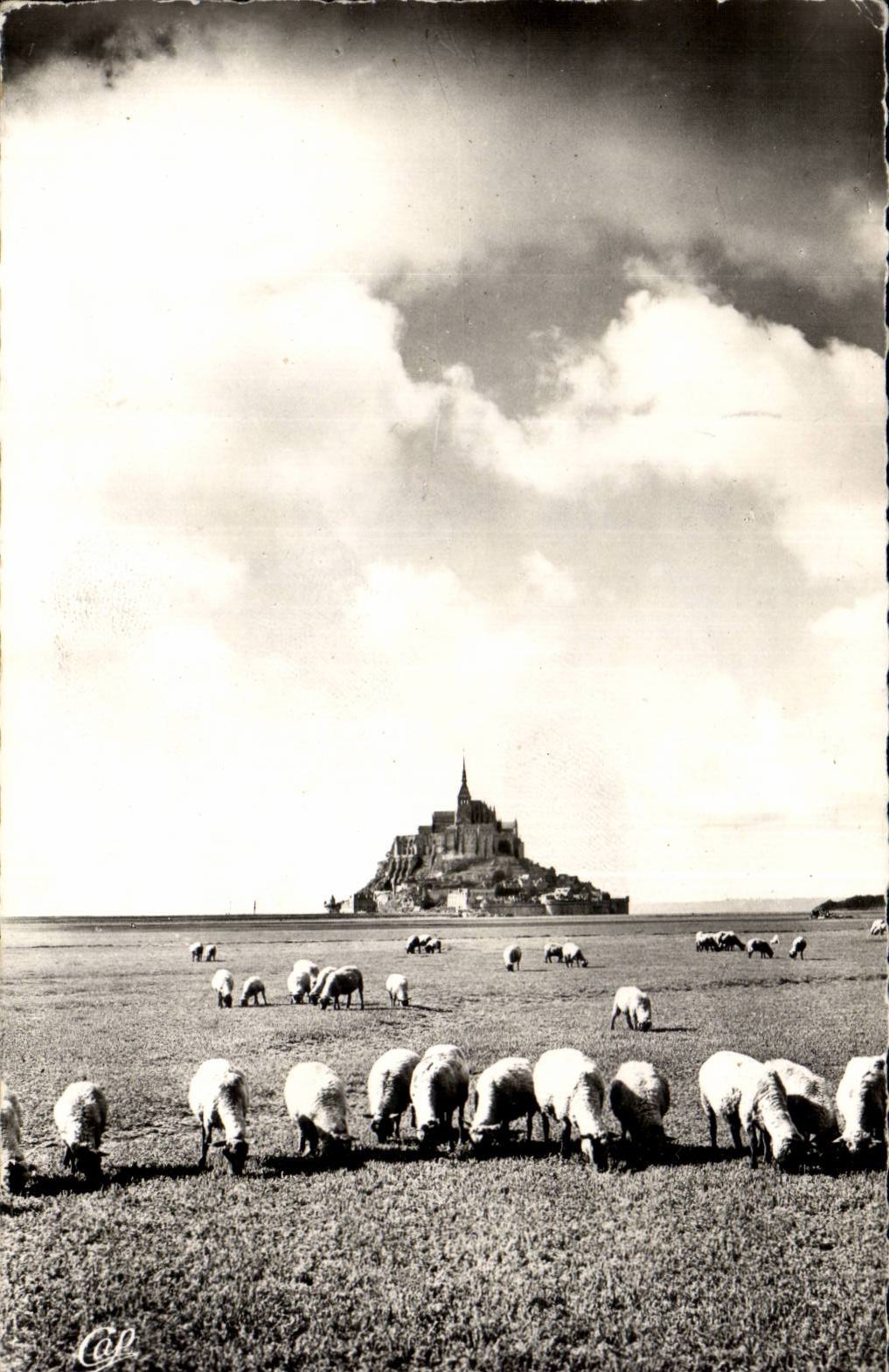 Mont-Saint-Michel — vue avec moutons — Réal-Photo, n°112