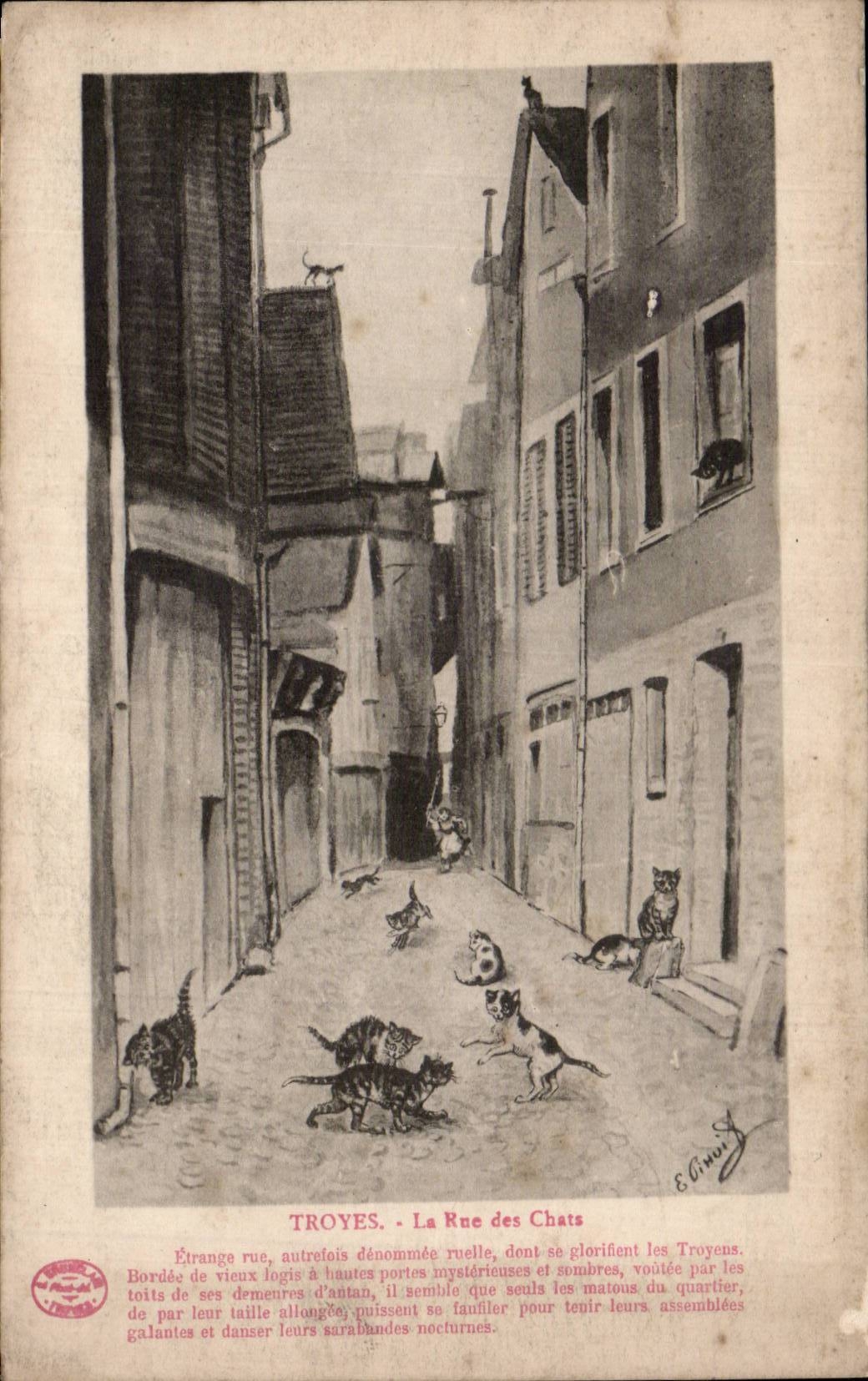 Tours - Rue des Chats - Illustration - cats - CPA 