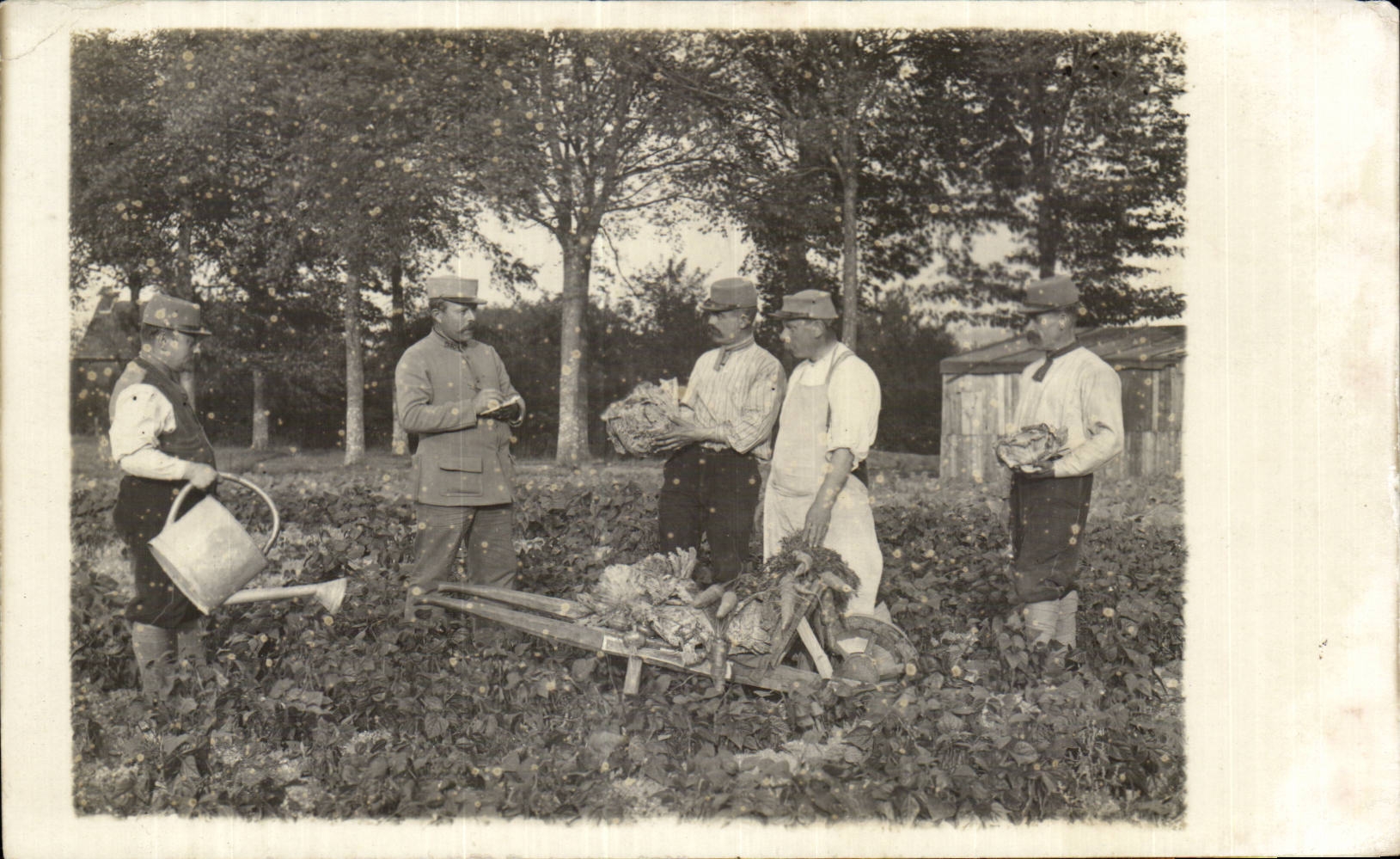 CARTE PHOTO Militaria Soldats
