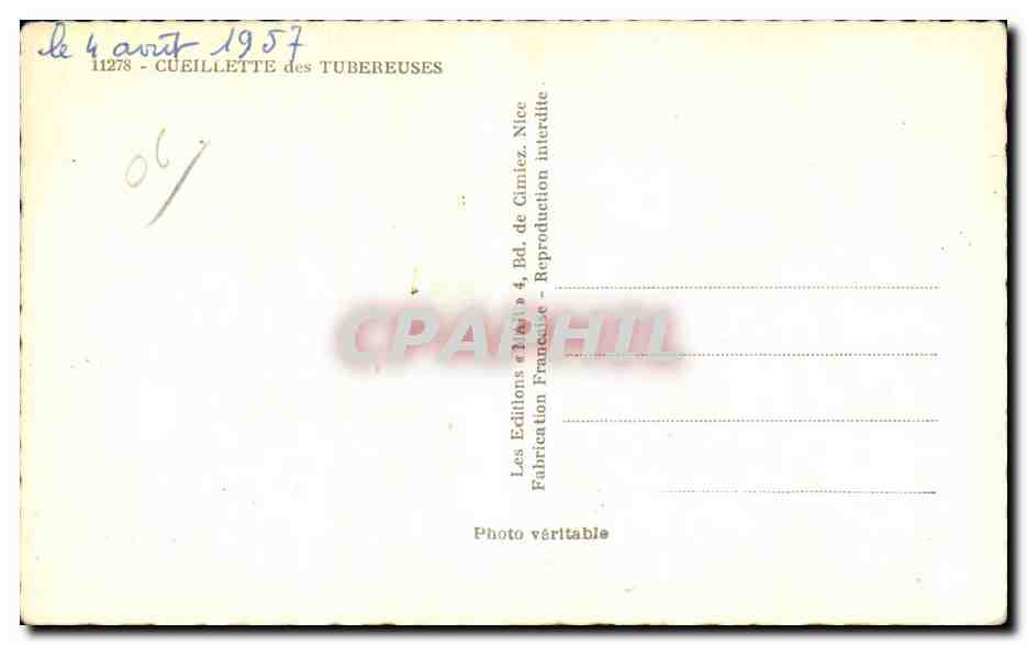 Cueillette des Tubereuses 1957 - CPA  — Rückseite