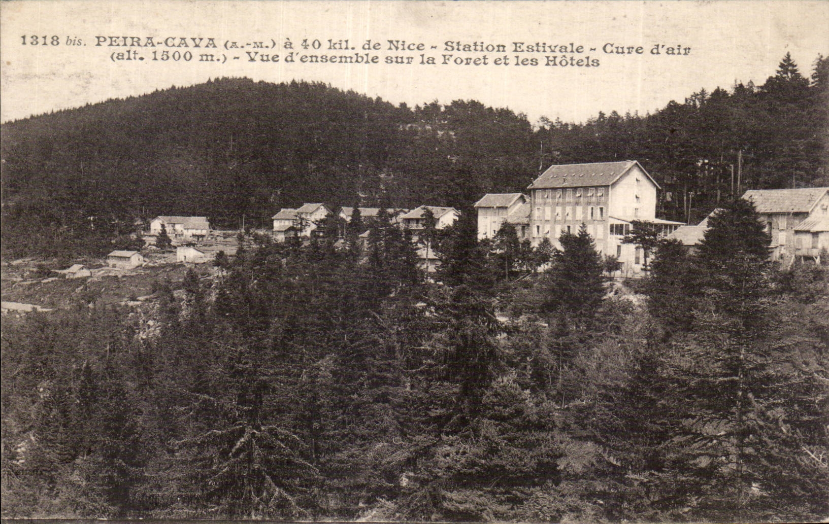 Peira Cava - Sation Estivale - Cure d air - CPA 