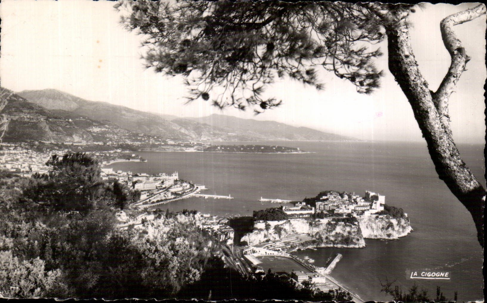 Monaco - Le Rocher - Monte Carlo - Italie - CPA 