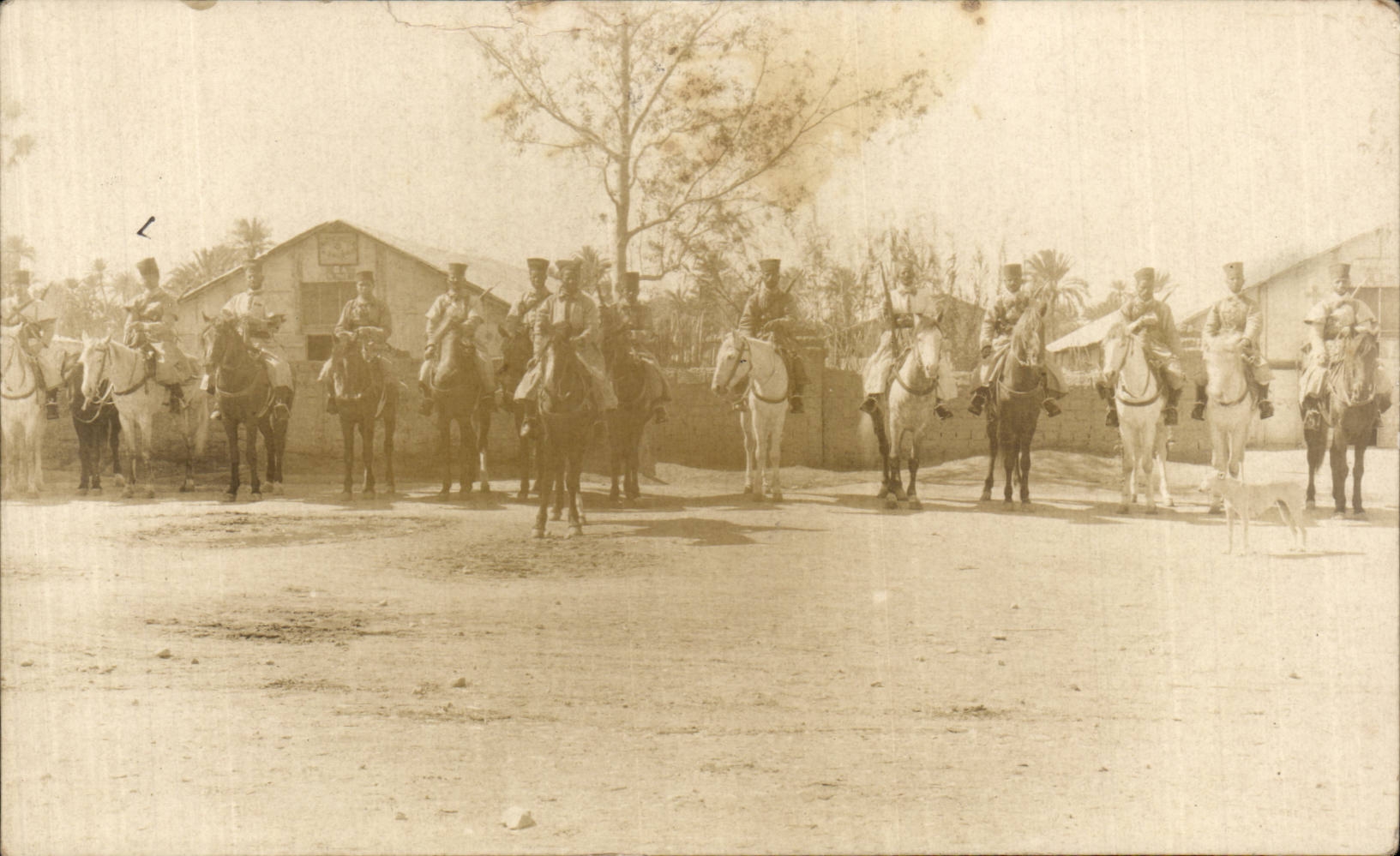 CARTE PHOTO Militaria Soldats Cavaliers Cheval Horse