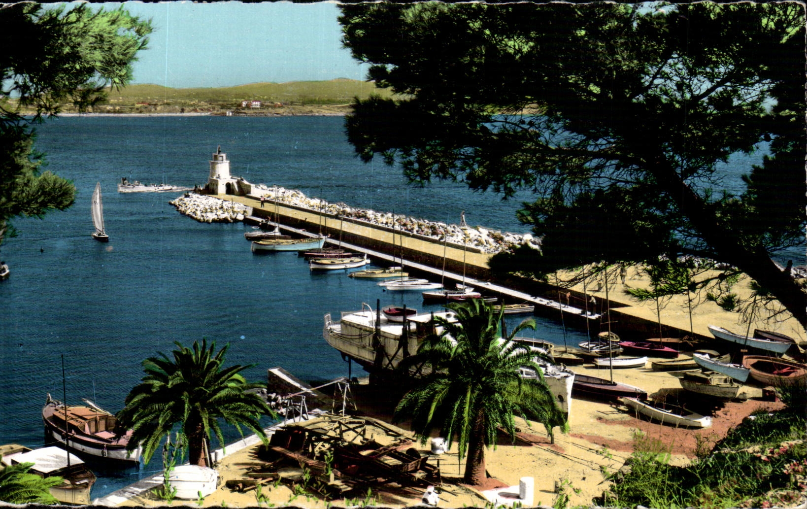 Sanary - Le Port et la Jetee - CPA 