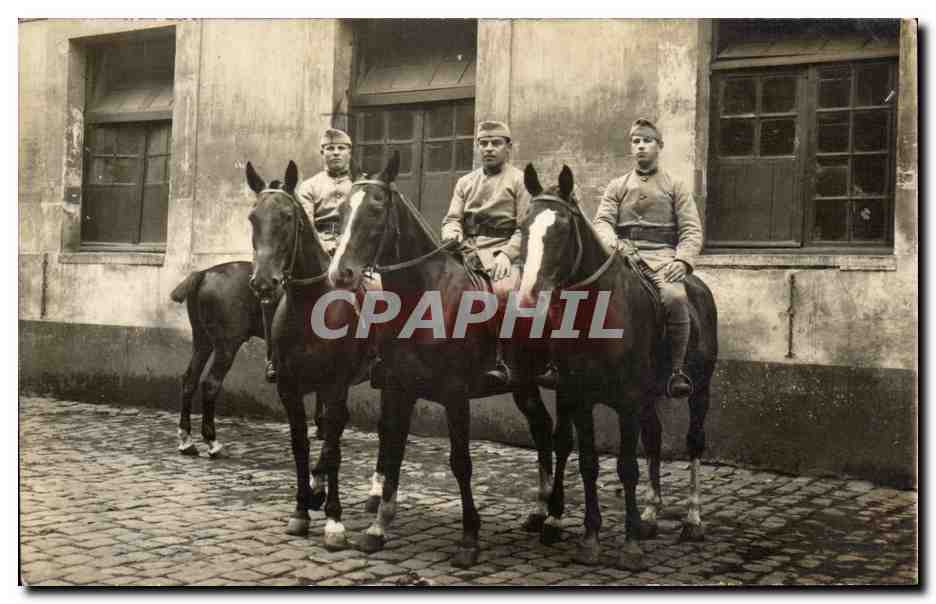 CARTE PHOTO Militaria Soldats Chevaux Cavaliers 