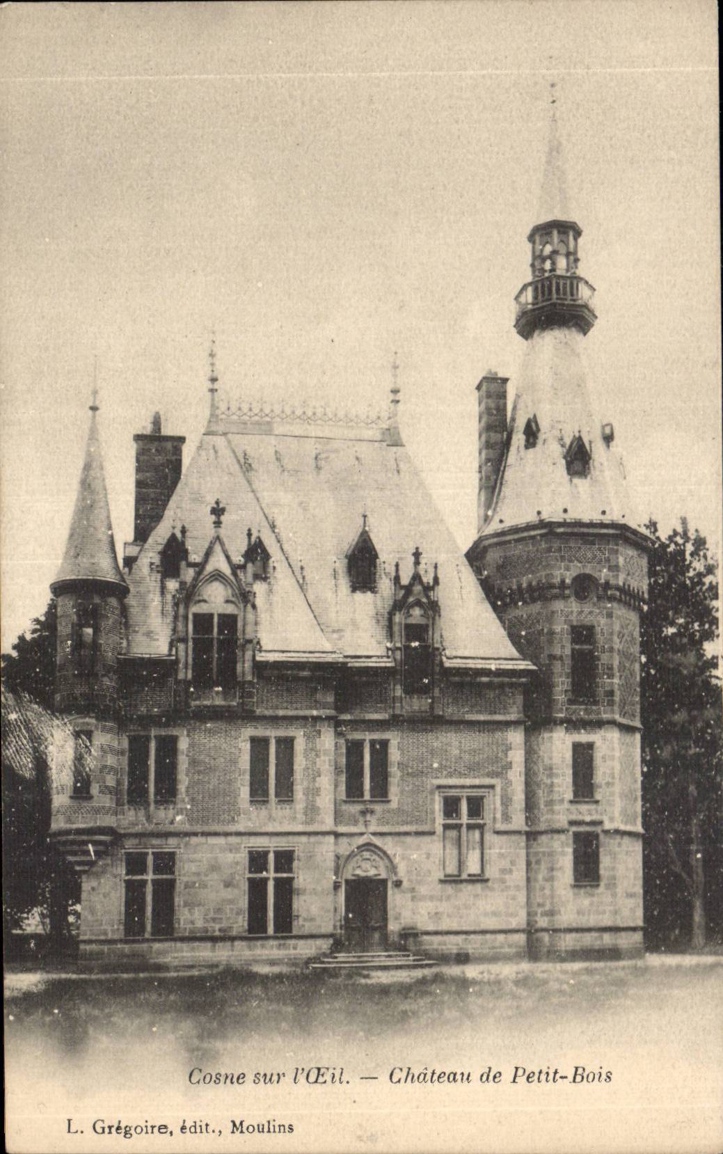 Cosne sur l Oeil - Chateau de Petit Bois - CPA 