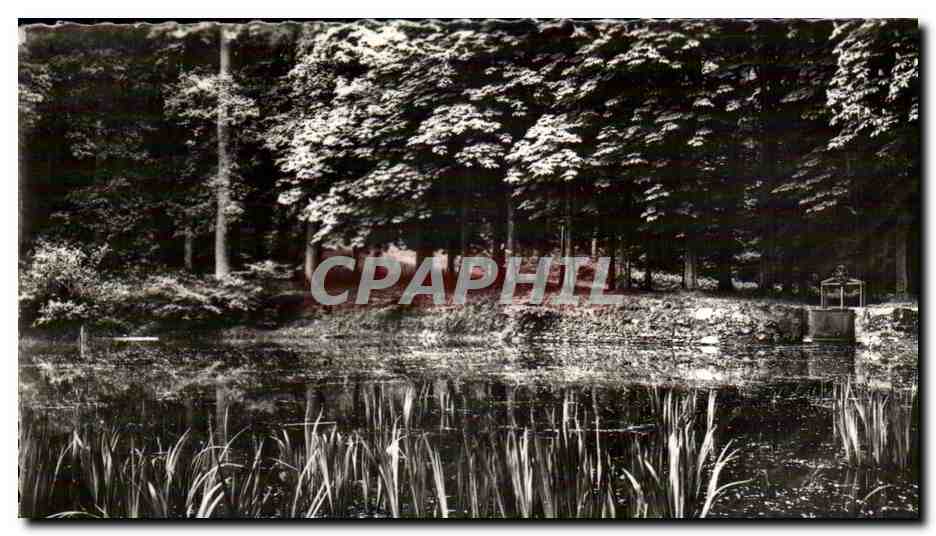 Villers-Cotterêts — Etang de 'Malva' — Combiér (S.-et-L.)