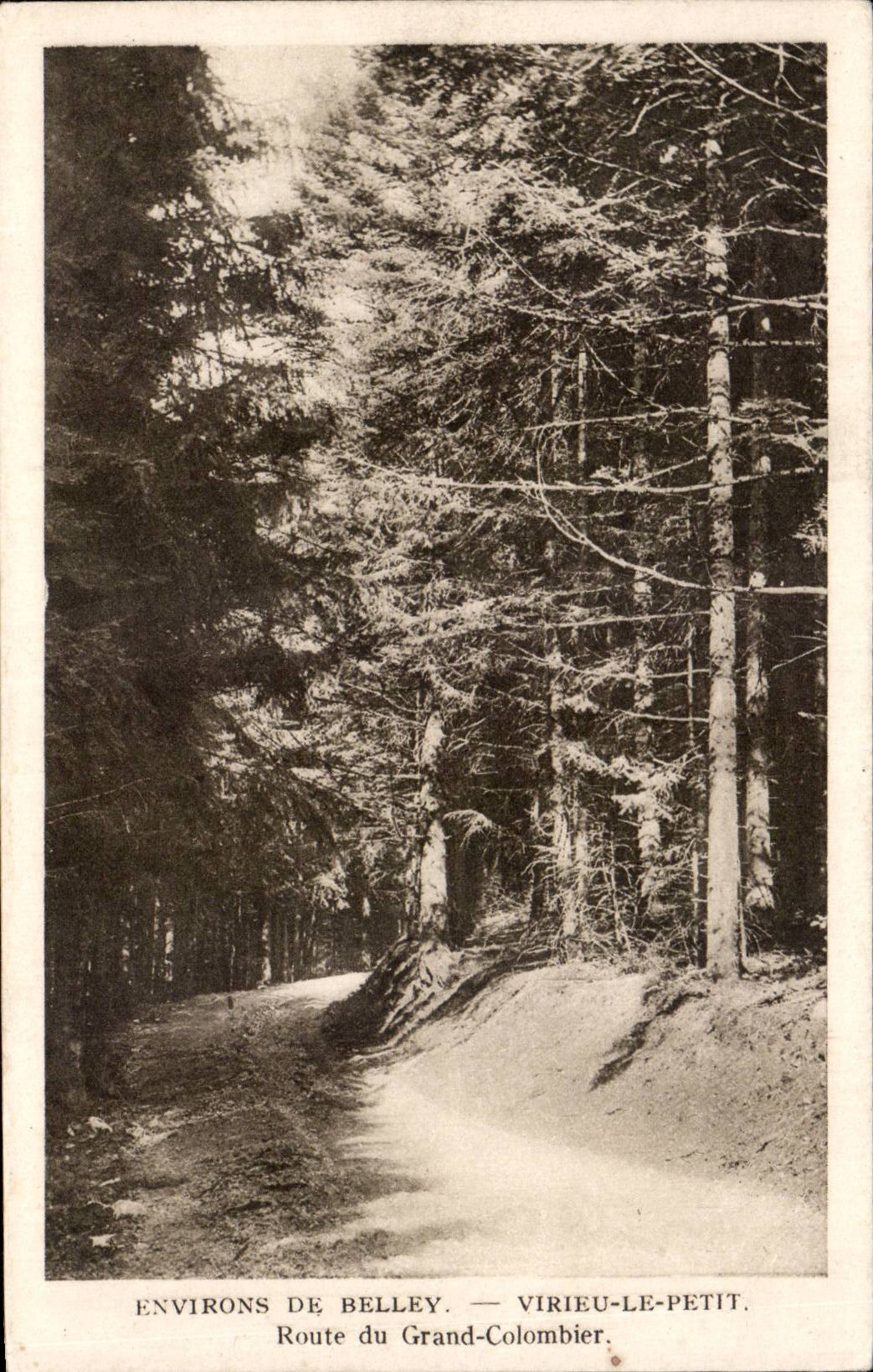 Environs de Belley - Virieu le Petit - Route du Grand Colombier - CPA 