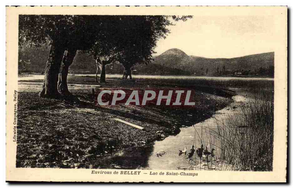 Environs de Belley - Lac de Saint Champs - CPA