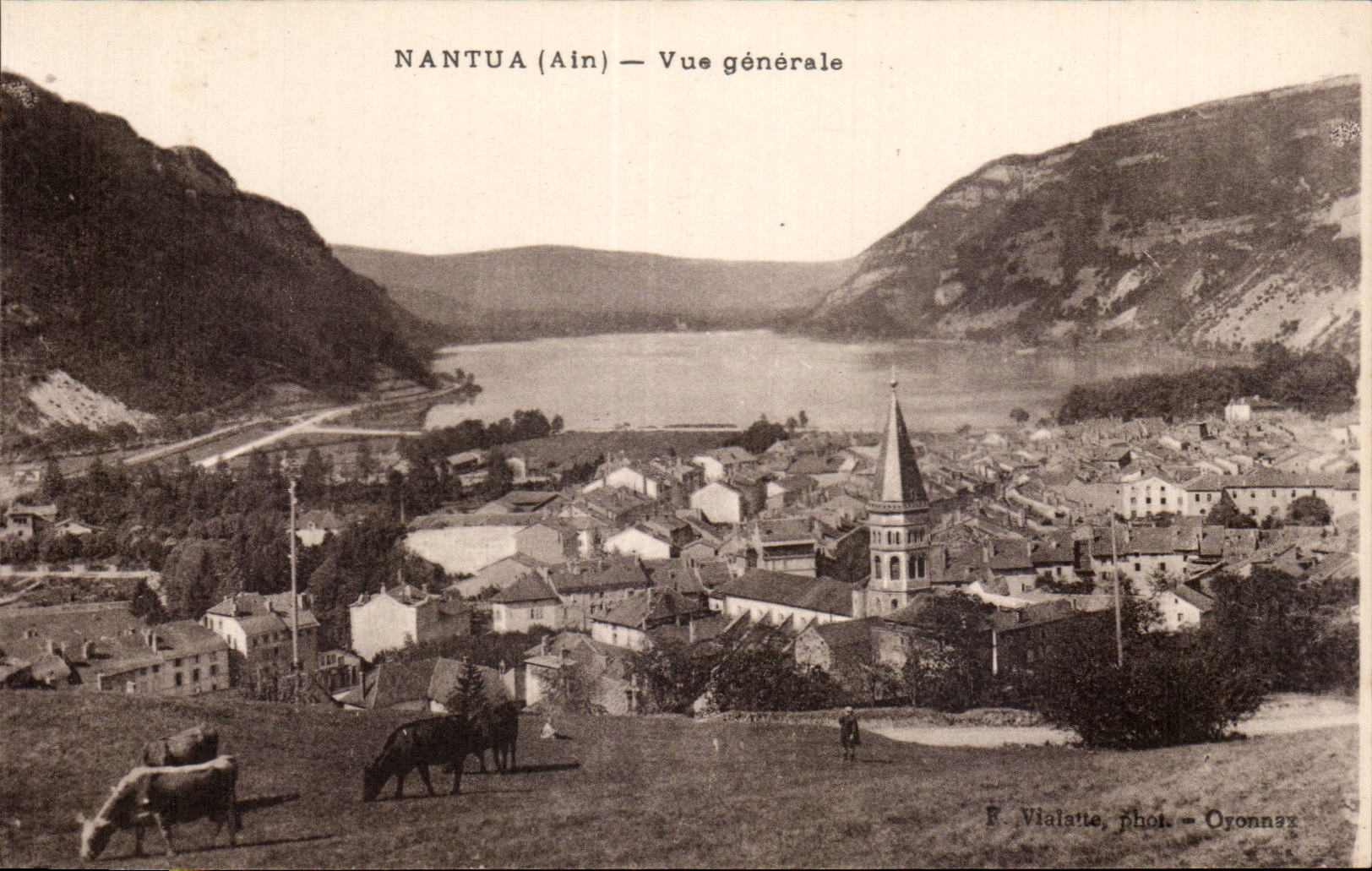 Nantua - Vue Generale - CPA 