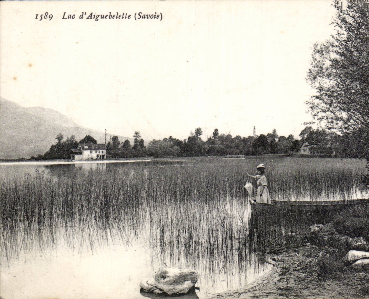 Aiguebelette - Le Lac Promeneuse a la bicyclette - CPA 