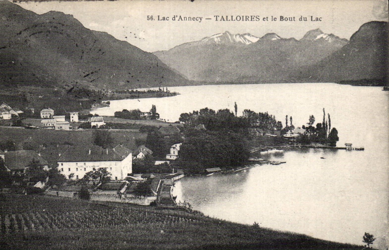 CPA Lac d Annecy Talloires et le bout du lac