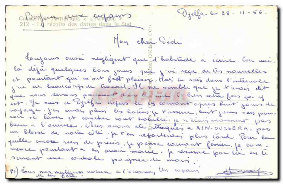 Afrique - Arfrica - Types Sud - La Recolte des Dattes dans le Sud - CPA — Rückseite