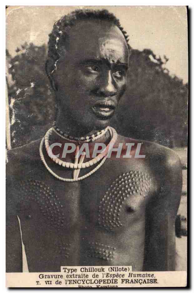 Afrique - Africa - Soudan - Sudan - Nilote - Type Chillouk - Vu du Encyclopedie Francaise - CPA