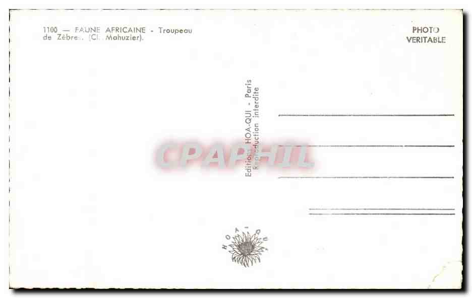 Troupeau de Zèbres — Faune Africaine — Édition HOA-QUI, Paris — Reverso
