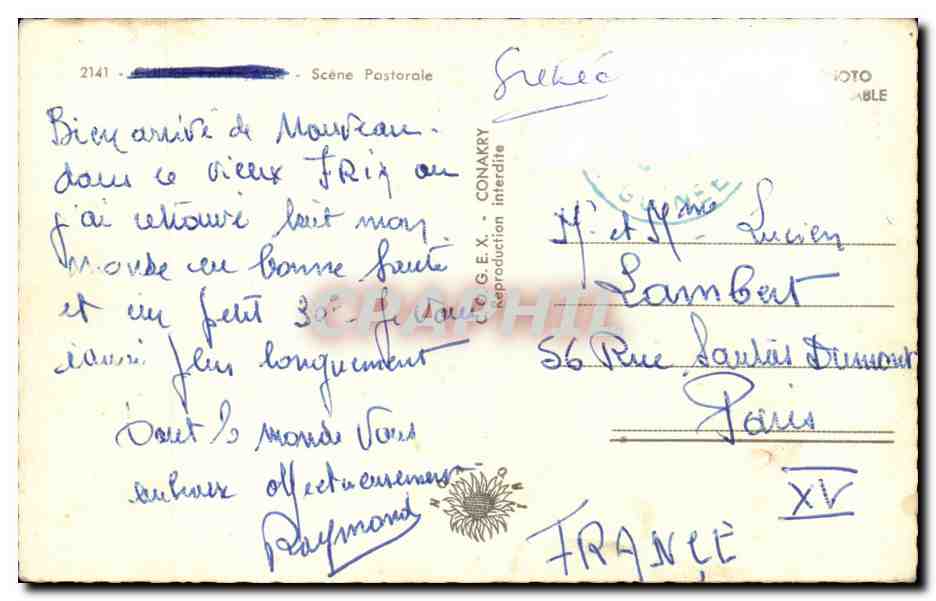 Afrique - Africa - Scene Pastorale - ane - donkey - CPA — Rückseite